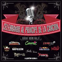 Přední strana obalu CD Celebrando Al Príncipe De La Canción -Gran Homenaje-