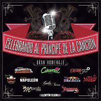 Celebrando Al Príncipe De La Canción -Gran Homenaje-