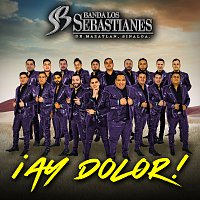 Banda Los Sebastianes De Saúl Plata – ?Ay Dolor!