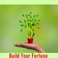 Michele Giussani – Build Your Fortune