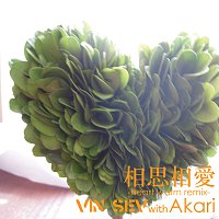 Vin Sev With Akari – Soushisouai -heart Warm Remix-