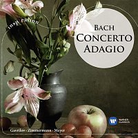 Andrei Gavrilov – Concerto Adagio: Bach
