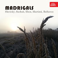 Přední strana obalu CD Madrigaly (Slavický, Suchoň, Eben, Martinů, Bořkovec)