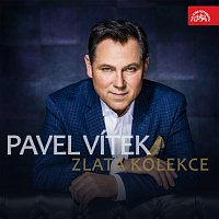 Pavel Vítek – Zlatá kolekce MP3
