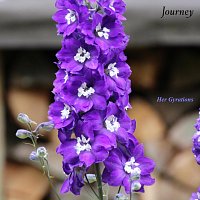 Přední strana obalu CD Journey