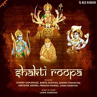 Různí interpreti – Shakti Roopa