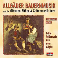 Různí interpreti – Echte Volksmusik aus dem Allgau