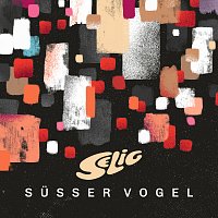 Suszer Vogel