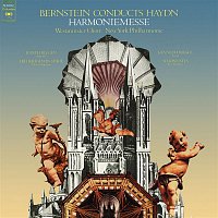 Přední strana obalu CD Haydn: Mass in B-Flat Major "Harmoniemesse" (Remastered)