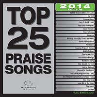 Různí interpreti – Top 25 Praise Songs [2014 Edition]