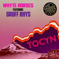 Whyte Horses, Gruff Rhys – Tocyn