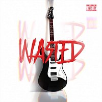 Přední strana obalu CD Wasted