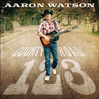 Přední strana obalu CD County Road 123