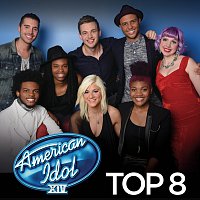 Různí interpreti – American Idol Top 8 Season 14