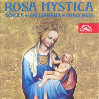Přední strana obalu CD Rosa mystica