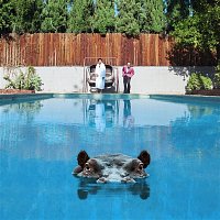 Sparks – Hippopotamus