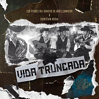 Los Plebes Del Rancho De Ariel Camacho, Christian Nodal – Vida Truncada