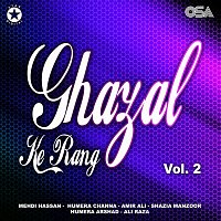 Různí interpreti – Ghazal Ke Rang, Vol. 2