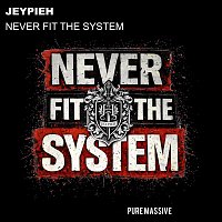 Přední strana obalu CD Never Fit the System