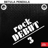 Přední strana obalu CD Rock debut č. 3 Betula pendula