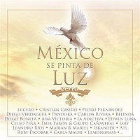 Celso Pina, La Adictiva Banda San José de Mesillas, Edwin Luna, Iskander, Emir Pabón & Grupo Canaveral, Leandro Ríos, Marian & Mariel y Ruby Escobar – Cielo Abierto