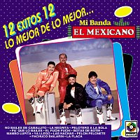 Přední strana obalu CD 12 Éxitos: Lo Mejor De Lo Mejor...