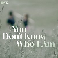 You Don't Know Who I Am [Radio Edit]