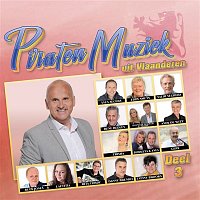 Various  Artists – Piraten Muziek Uit Vlaanderen Deel 3