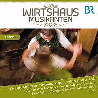 Diverse Interpreten – Wirtshausmusikanten - Folge 3