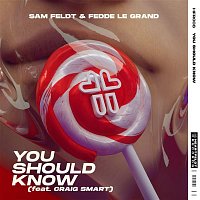 Sam Feldt & Fedde Le Grand – You Should Know (feat. Craig Smart)