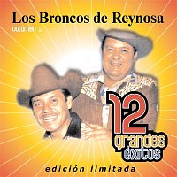 Los Broncos de Reynosa – 12 Grandes exitos Vol. 2