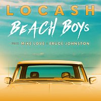 Přední strana obalu CD Beach Boys