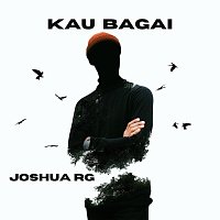 Přední strana obalu CD Kau Bagai