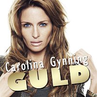 Přední strana obalu CD Guld