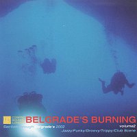 Různí interpreti – Belgrade's burning Vol 2