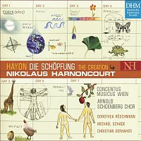 Nikolaus Harnoncourt – Haydn: Die Schopfung