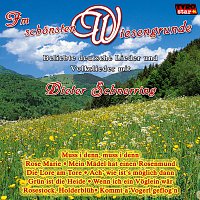 Dieter Schnerring – Im schonsten Wiesengrunde