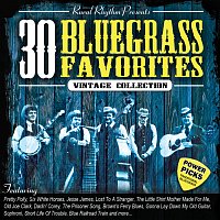 Přední strana obalu CD 30 Bluegrass Favorites: Power Picks - Vintage Collection