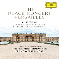 Přední strana obalu CD The Peace Concert Versailles [Live at Versailles / 2018]