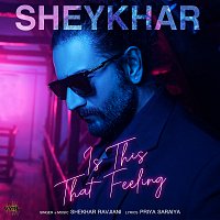 Shekhar Ravjiani – Is This That Feeling