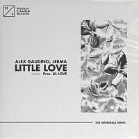 Alex Gaudino, Jerma – Little Love (pres. Lil' Love) [Teo Mandrelli Remix]