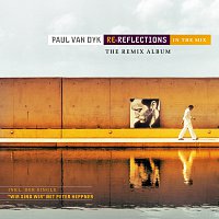 Re-Reflections [E-Release]