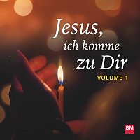 Projektchor Bischoff Verlag, Sigi Hanger – Jesus, ich komme zu Dir, Vol. 1 (feat. Sigi Hänger)
