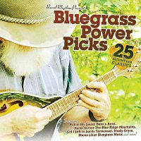 Různí interpreti – Bluegrass Power Picks: 25 Mountain Classics