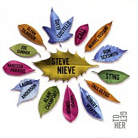 Steve Nieve – ToGetHer