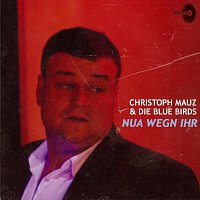 Christoph Mauz & Die Blue Birds – Nua wegn ihr