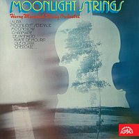 Harry (Karel) Macourek se svou skupinou – Moonlight Strings