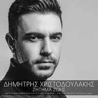 Dimitris Christodoulakis – Zitima Zois