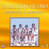 Banda Camino – Colección De Oro, Vol. 2