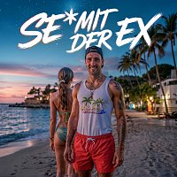 Schlappensturmer – Se* mit der Ex